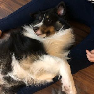 Meet your Posher, Madelaine